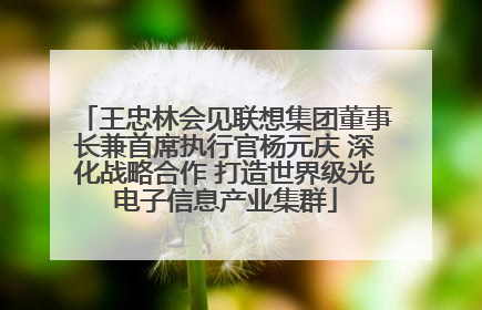 王忠林会见联想集团董事长兼首席执行官杨元庆 深化战略合作 打造世界级光电子信息产业集群