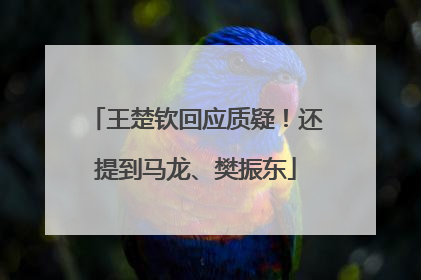 王楚钦回应质疑！还提到马龙、樊振东