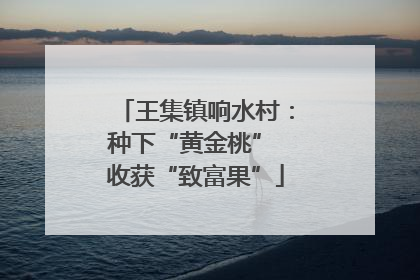 王集镇响水村：种下“黄金桃” 收获“致富果”