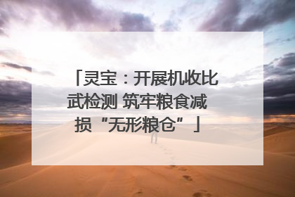 灵宝：开展机收比武检测 筑牢粮食减损“无形粮仓”