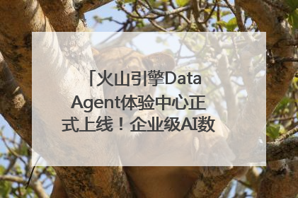 火山引擎Data Agent体验中心正式上线！企业级AI数据专家触手可及