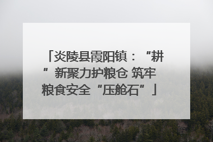 炎陵县霞阳镇：“耕”新聚力护粮仓 筑牢粮食安全“压舱石”
