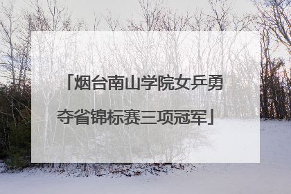 烟台南山学院女乒勇夺省锦标赛三项冠军