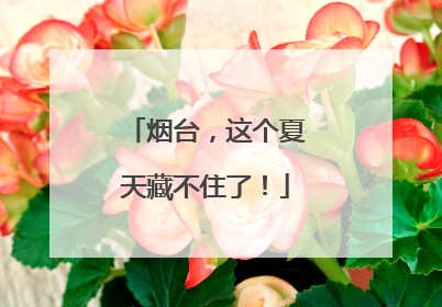 烟台，这个夏天藏不住了！