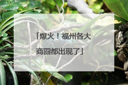 爆火！福州各大商圈都出现了