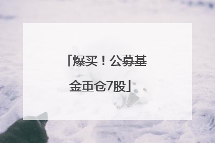 爆买！公募基金重仓7股