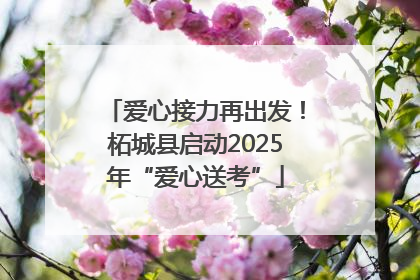 爱心接力再出发！柘城县启动2025年“爱心送考”