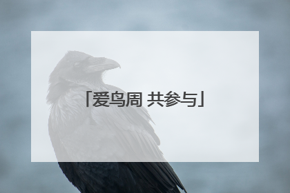 爱鸟周 共参与