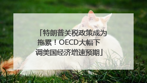 特朗普关税政策成为拖累！OECD大幅下调美国经济增速预期