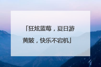 狂炫蓝莓，夏日游黄陂，快乐不宕机