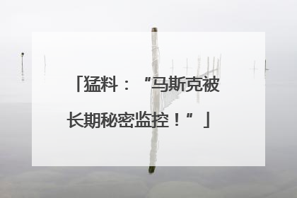 猛料：“马斯克被长期秘密监控！”