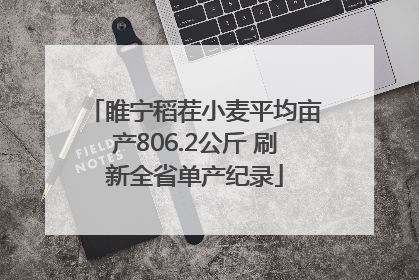 睢宁稻茬小麦平均亩产806.2公斤 刷新全省单产纪录