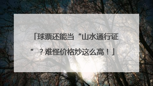 球票还能当“山水通行证”？难怪价格炒这么高！