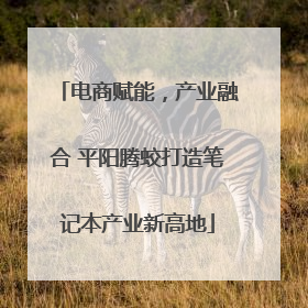 电商赋能，产业融合 平阳腾蛟打造笔记本产业新高地