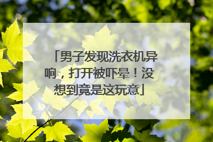 男子发现洗衣机异响，打开被吓晕！没想到竟是这玩意