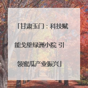 甘肃玉门：科技赋能戈壁绿洲小院 引领蜜瓜产业振兴