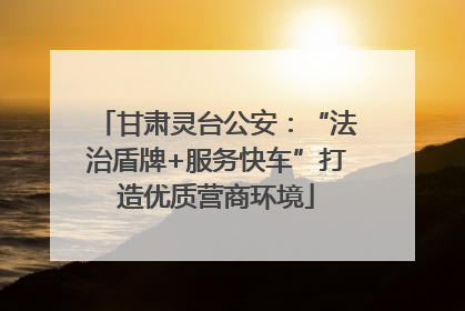 甘肃灵台公安：“法治盾牌+服务快车”打造优质营商环境