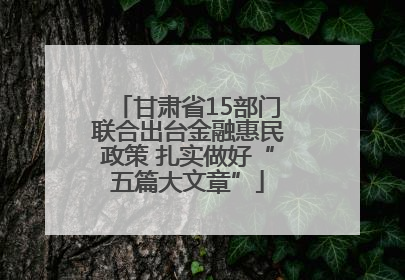 甘肃省15部门联合出台金融惠民政策 扎实做好“五篇大文章”