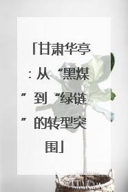 甘肃华亭：从“黑煤”到“绿链”的转型突围