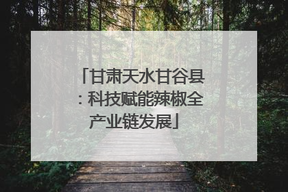 甘肃天水甘谷县：科技赋能辣椒全产业链发展
