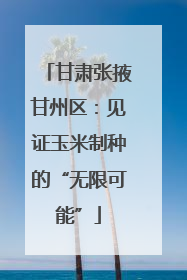 甘肃张掖甘州区：见证玉米制种的“无限可能”