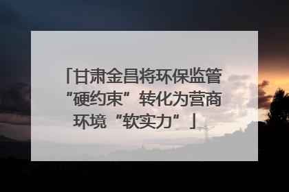 甘肃金昌将环保监管“硬约束”转化为营商环境“软实力”