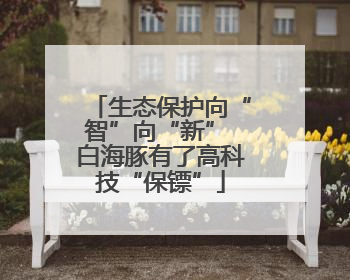 生态保护向“智”向“新” 白海豚有了高科技“保镖”