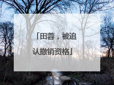 田蓉，被追认撤销资格