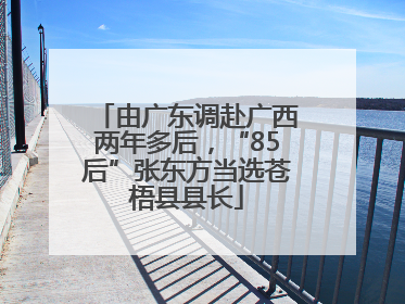 由广东调赴广西两年多后，“85后”张东方当选苍梧县县长