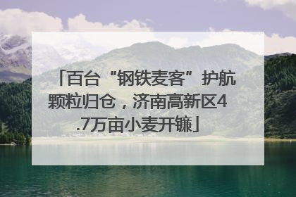 百台“钢铁麦客”护航颗粒归仓，济南高新区4.7万亩小麦开镰