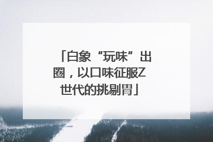 白象“玩味”出圈，以口味征服Z世代的挑剔胃