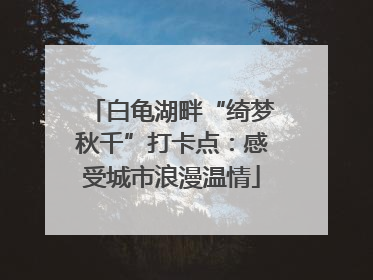 白龟湖畔“绮梦秋千”打卡点：感受城市浪漫温情