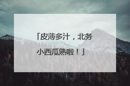 皮薄多汁，北务小西瓜熟啦！