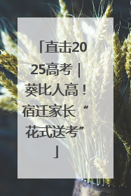 直击2025高考｜葵比人高！宿迁家长“花式送考”