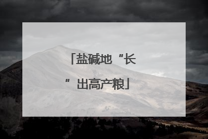 盐碱地“长”出高产粮