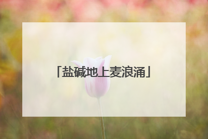 盐碱地上麦浪涌