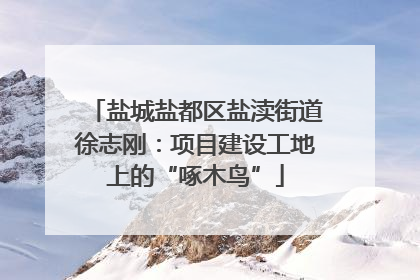 盐城盐都区盐渎街道徐志刚：项目建设工地上的“啄木鸟”
