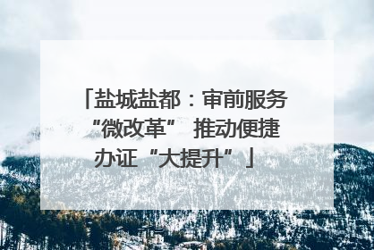 盐城盐都：审前服务“微改革” 推动便捷办证“大提升”