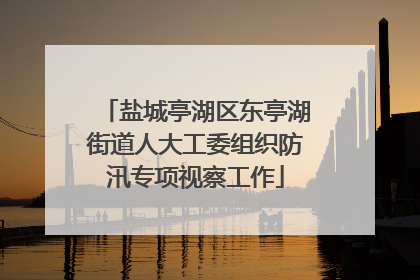 盐城亭湖区东亭湖街道人大工委组织防汛专项视察工作