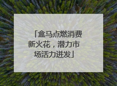 盒马点燃消费新火花，潜力市场活力迸发