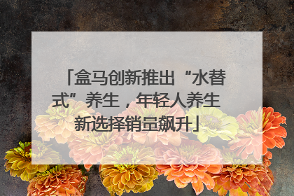 盒马创新推出“水替式”养生，年轻人养生新选择销量飙升