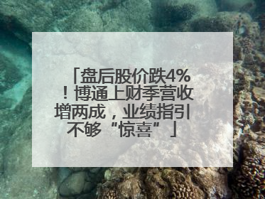 盘后股价跌4%！博通上财季营收增两成，业绩指引不够“惊喜”