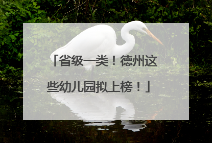 省级一类！德州这些幼儿园拟上榜！