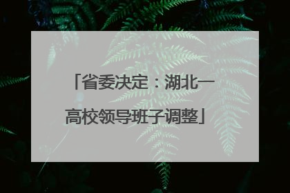 省委决定：湖北一高校领导班子调整
