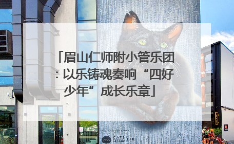 眉山仁师附小管乐团：以乐铸魂奏响“四好少年”成长乐章