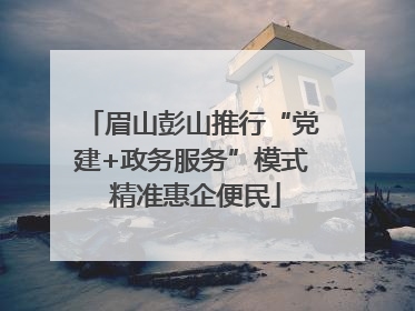 眉山彭山推行“党建+政务服务”模式 精准惠企便民