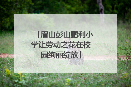 眉山彭山鹏利小学让劳动之花在校园绚丽绽放