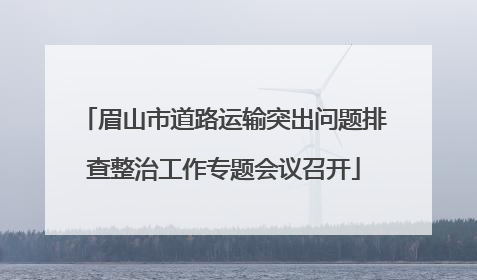 眉山市道路运输突出问题排查整治工作专题会议召开