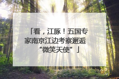 看，江豚！五国专家南京江边考察邂逅“微笑天使”