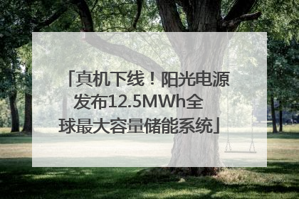 真机下线！阳光电源发布12.5MWh全球最大容量储能系统